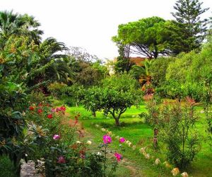 Azienda Agrituristica Tenuta Pizzolungo Trapani Italy