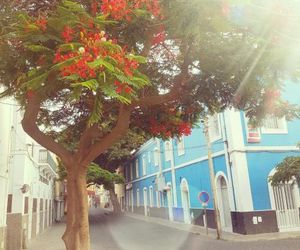 Casa Cafe Mindelo Mindelo Cape Verde