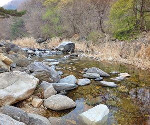 Gapyeong Junhouse pension gapyeong South Korea