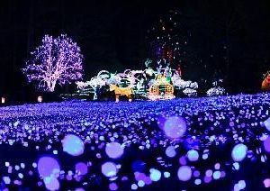 Gapyeong Butt Pong keungol South Korea