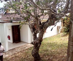 Self-catering Villas on Kenyan White-sand Beaches! Tiwi Kenya
