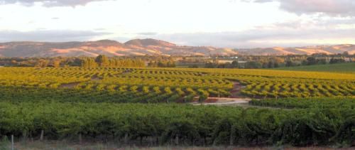 صورة الفندق 24