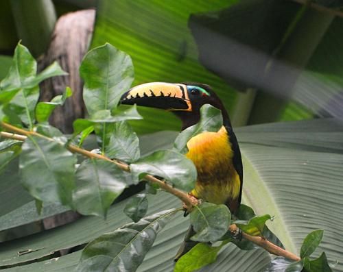 صورة الفندق 4