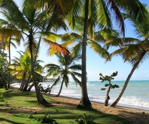 Turtle Lagoon Beach Las Terrenas Dominican Republic