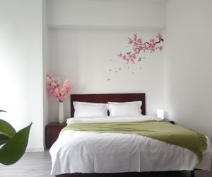 [Sakura]whole APT in center of city for 6 guests Qingdao China