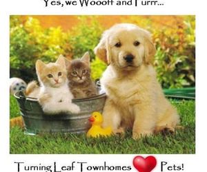 Turning Leaf Furnished Townhomes Spokane United States