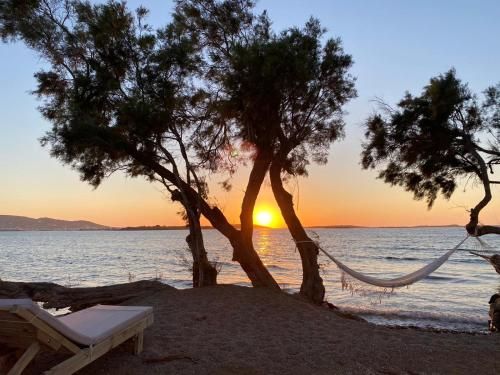 image of hotel Seesoo Paros Beachfront Resort
