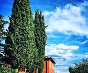 Agriturismo S Ellero San Casciano in Val di Pesa Italy