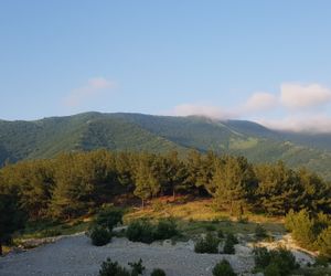 Морская сказка Gelendzik Russia