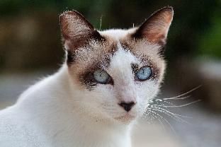 صورة الفندق 17