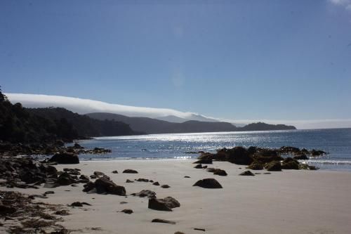 صورة الفندق 4
