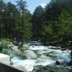 NearBy Hotel