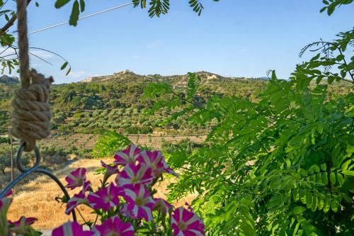 صورة الفندق 4