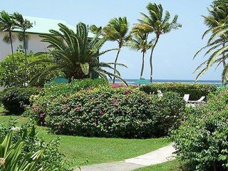 Hotel pic Colony Cove Beach Resort