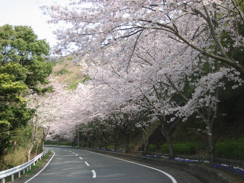 صورة الفندق 2
