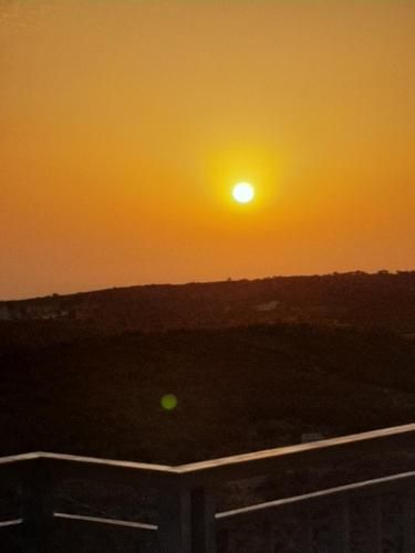 صورة الفندق 21