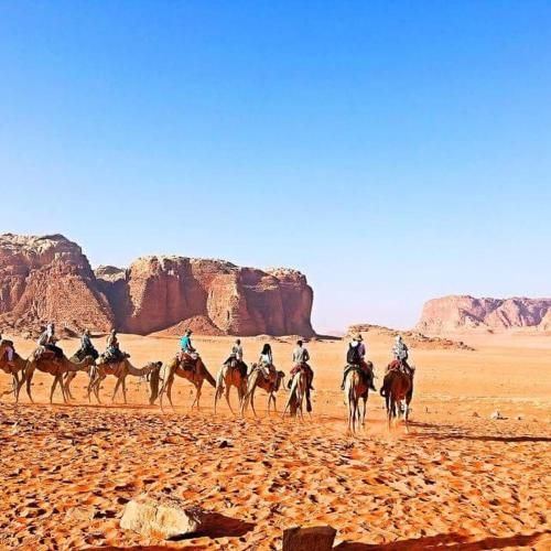 صورة الفندق 1