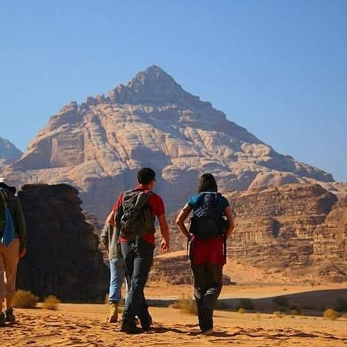 صورة الفندق 13