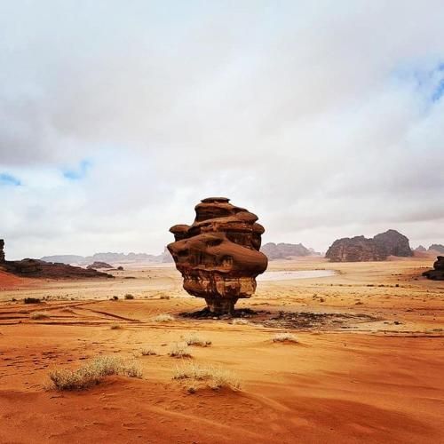 صورة الفندق 19