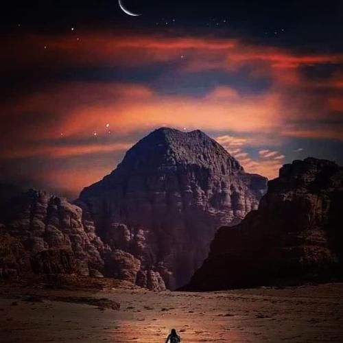 صورة الفندق 20