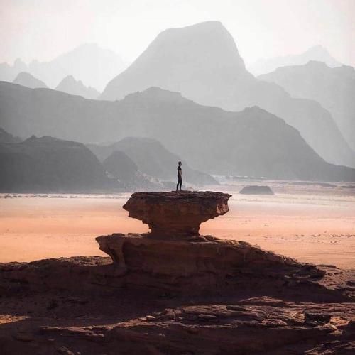 صورة الفندق 21