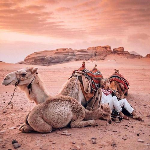 صورة الفندق 6