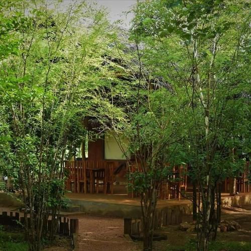 صورة الفندق 1