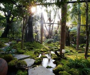 Tree Scape Retreat Resort Chiang Mai City Thailand
