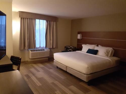 Hotel Photo 22