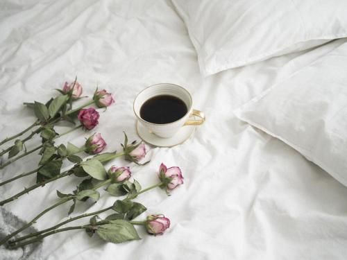 صورة الفندق 17