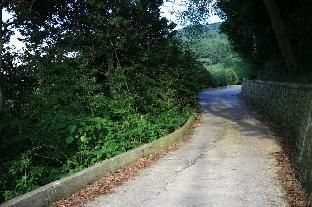 صورة الفندق 10
