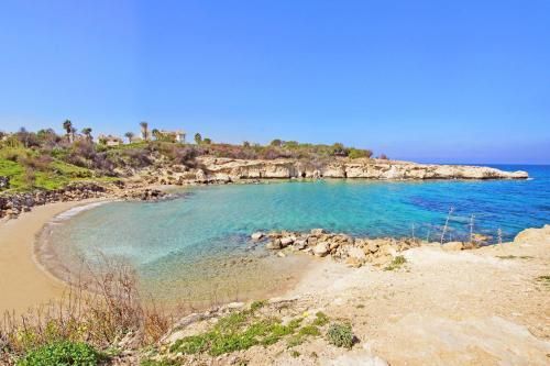 صورة الفندق 2