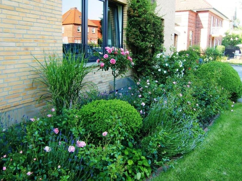 صورة الفندق 4