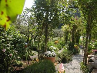 Hotel pic Adorable Tuscan cottage with beautiful garden just outside Lucca, slee