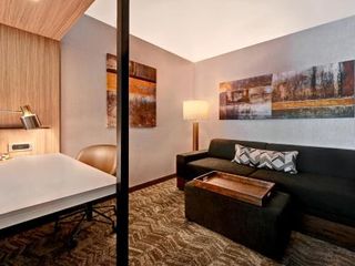 Фото отеля SpringHill Suites by Marriott Albuquerque University Area