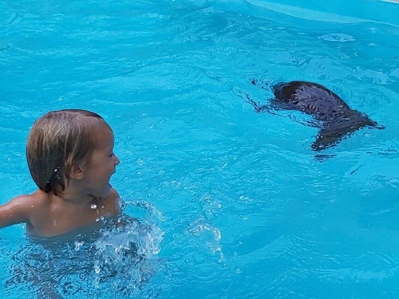 صورة الفندق 4