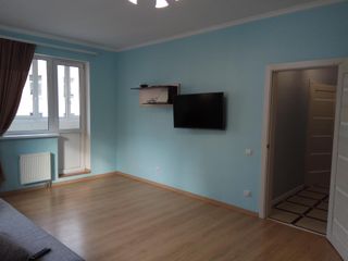 Spacious apartments in the center of St.Petersburg