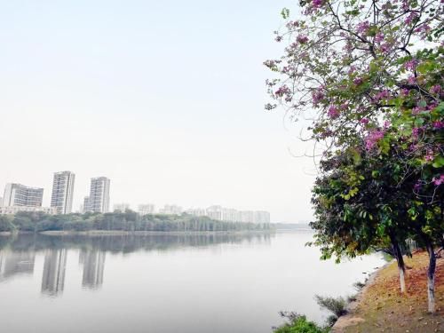 صورة الفندق 21