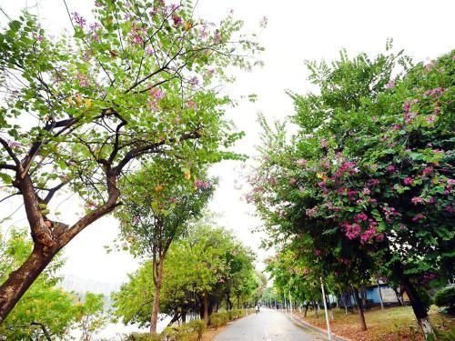صورة الفندق 22