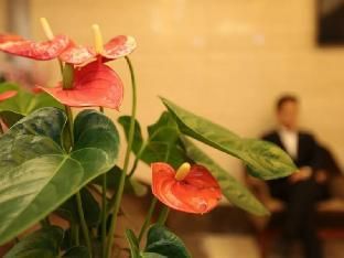 صورة الفندق 16
