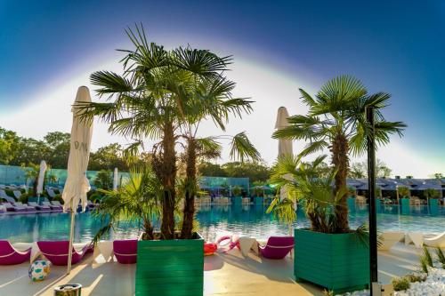 صورة الفندق 23