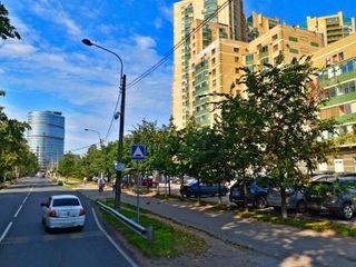 Паруса на Фермском