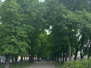 Апартаменты "Новая Голландия" само заселение