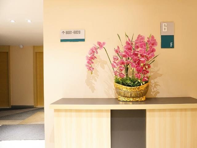 Hotel Photo 8
