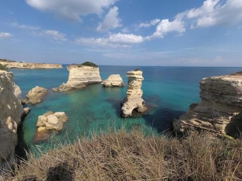 صورة الفندق 8