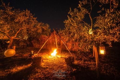 صورة الفندق 19