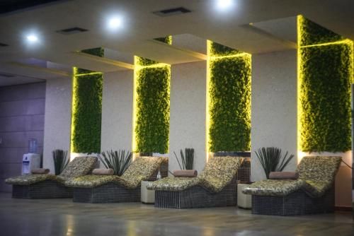 صورة الفندق 24