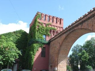 Человек и кошка