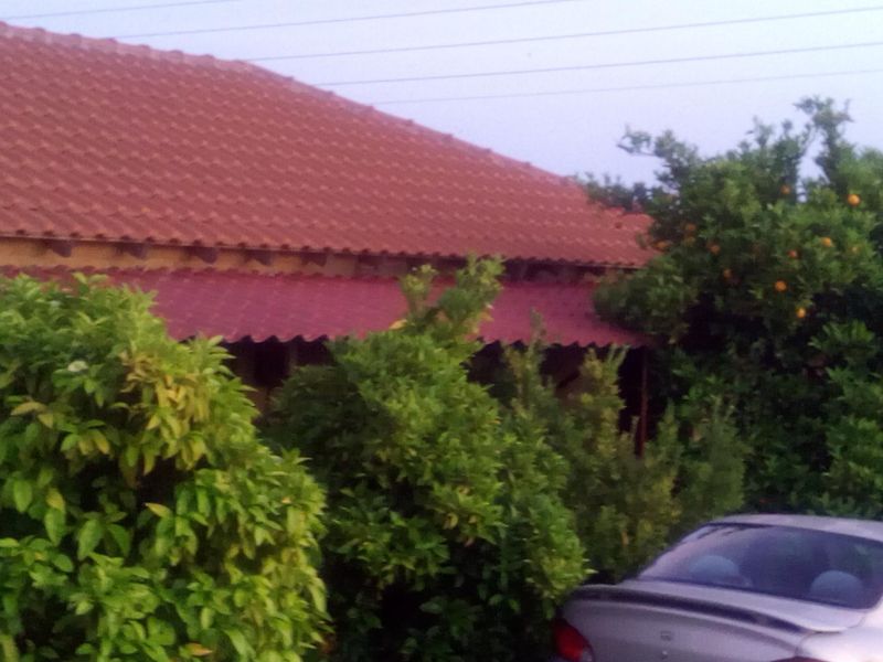 صورة الفندق 1
