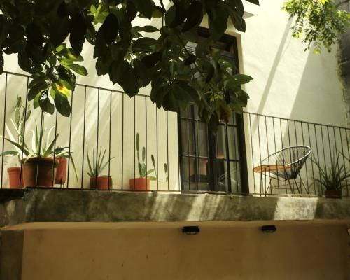 صورة الفندق 8